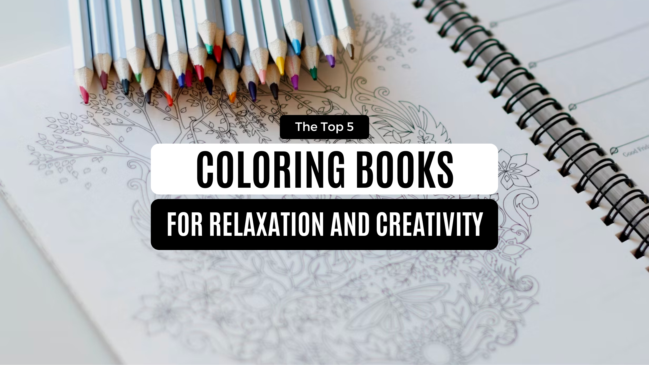 The Top 5 Art Coloring Books for Relaxation and Creativity - Doodlers  Anonymous